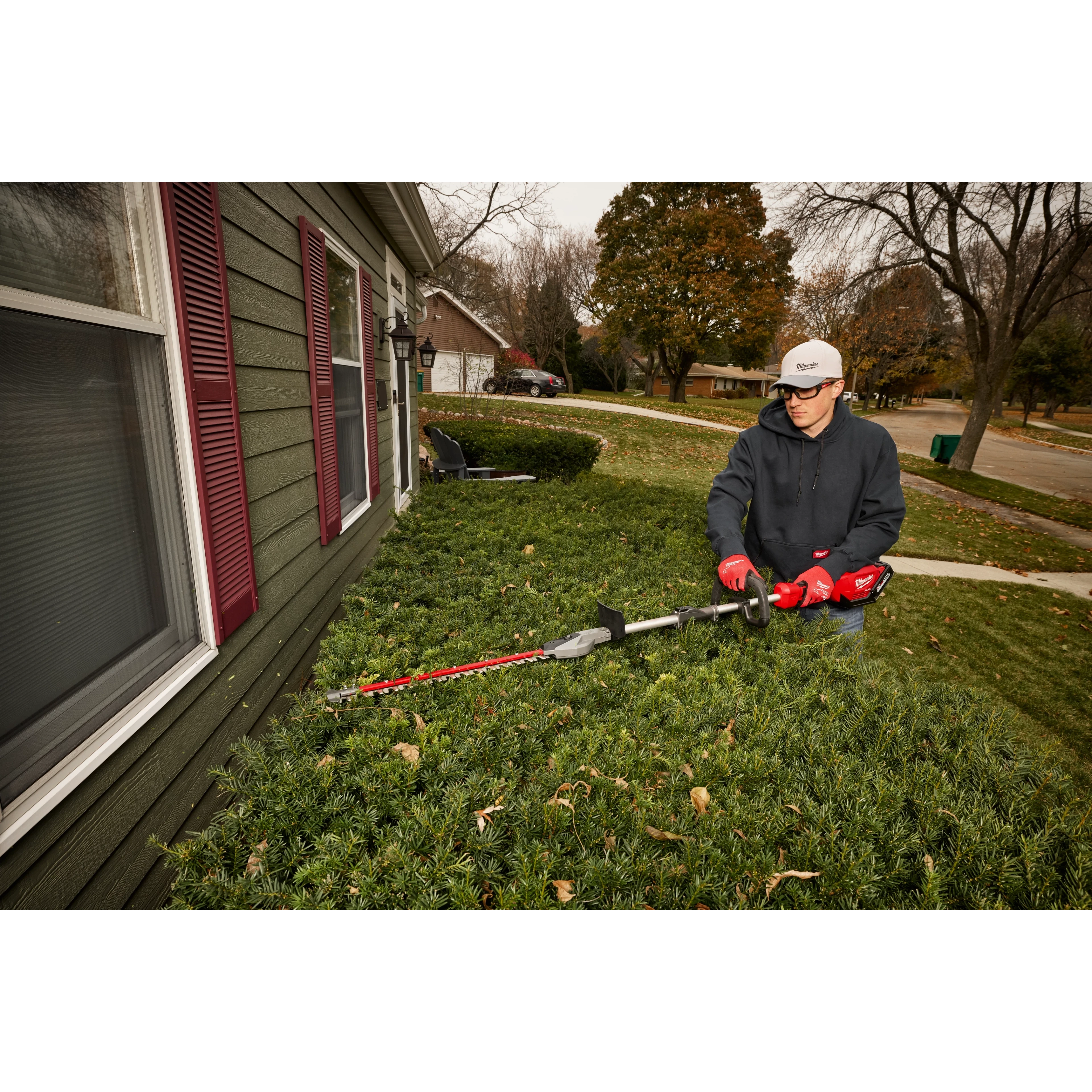 Professional bush and hedge trimming