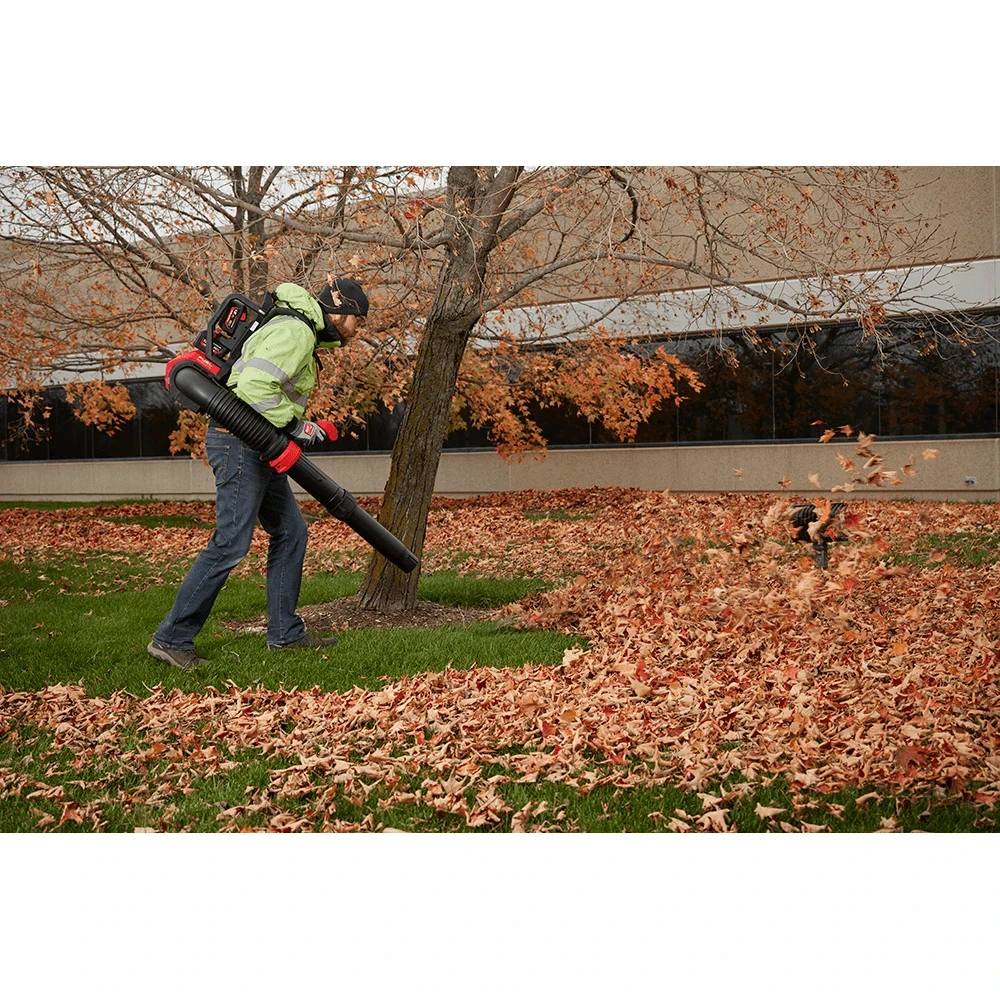 Seasonal yard cleanup service